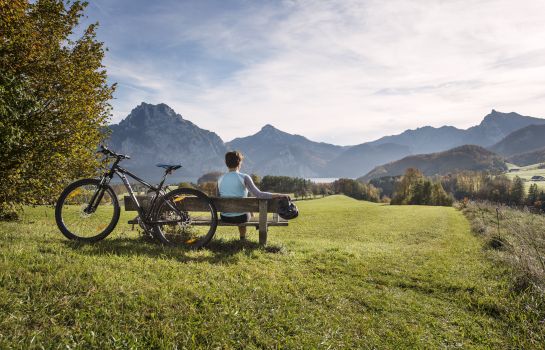 Seehotel Das Traunsee