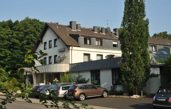 Spiegel