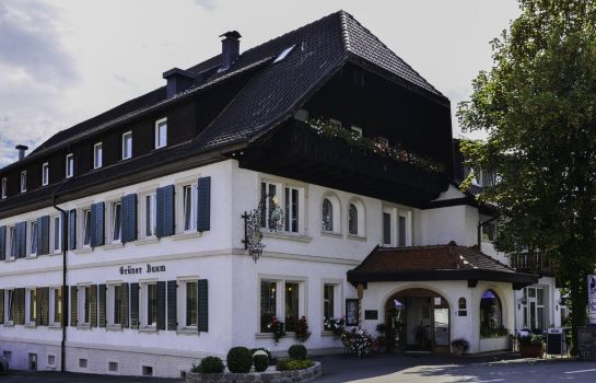 Grüner Baum Flair Hotel