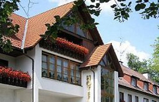 Waldblick Waldblick