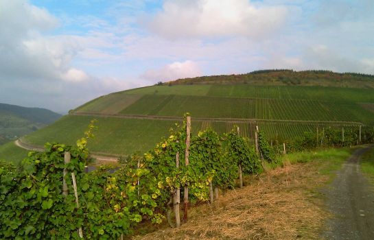 Karlsmühle Weingut