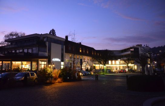 Adler See- & Wellnesshotel