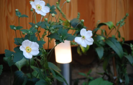aux Deux Roses