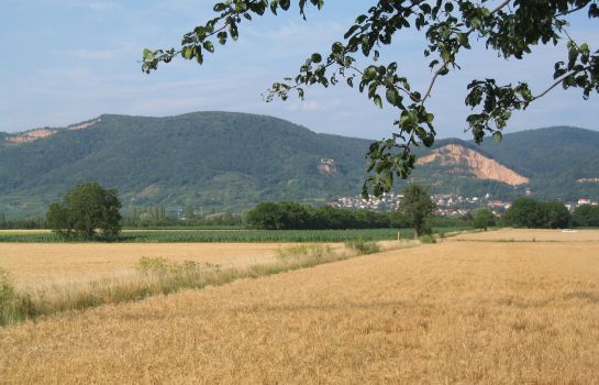 Neu Heidelberg Guesthouse & Apartments