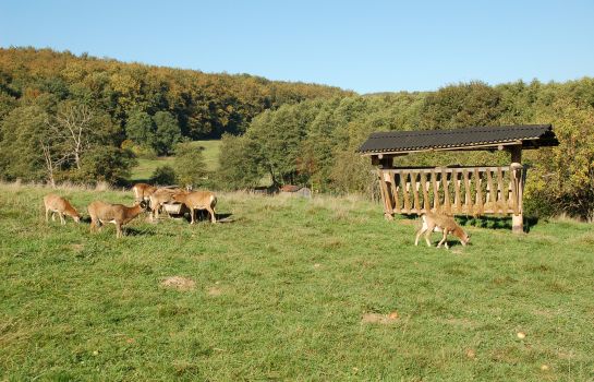 DER JÄGERHOF Wohlfühlhotel