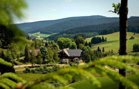 Tannzapfenland Tannzapfenland