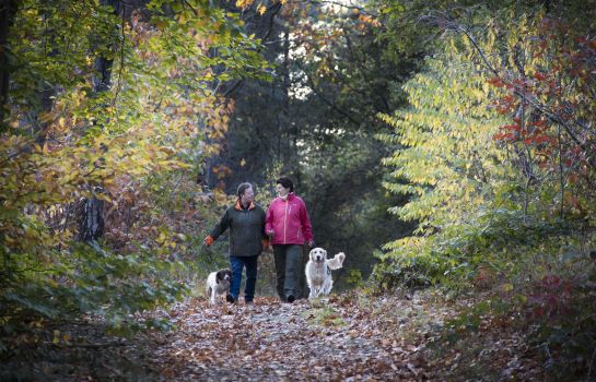 Hotel Guldenberg'S – Hertogenbosch Helvoirt