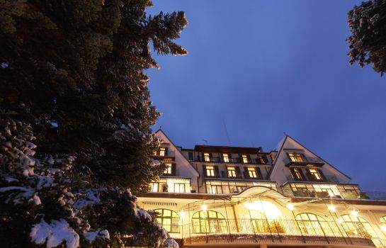 Holzner 4 ****s Parkhotel