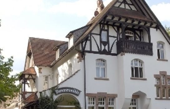 Dammenmühle Dammenmühle