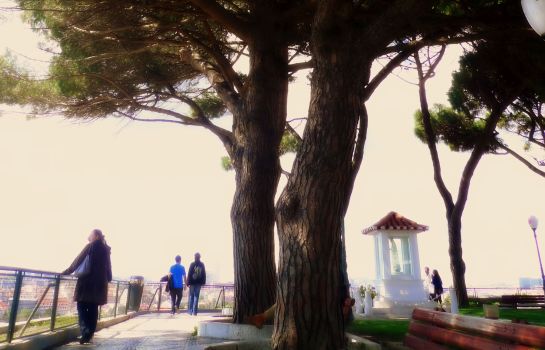 Senhora do Monte Albergaria
