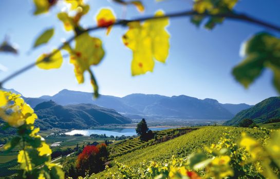 Traminer Hof Hotel