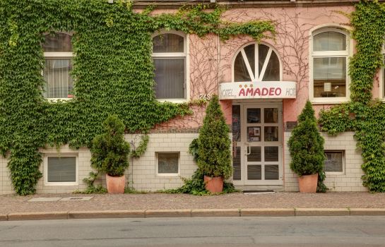 Amadeo