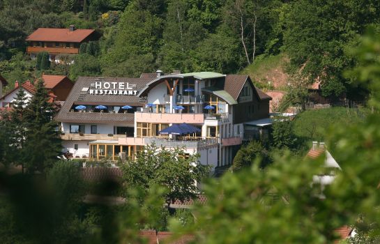 Am Hirschhorn Landhaus Hotel, Urlaubs und Ferientipps Am Hirschhorn Landhaus