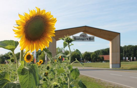 Hotel am Haslinger Hof