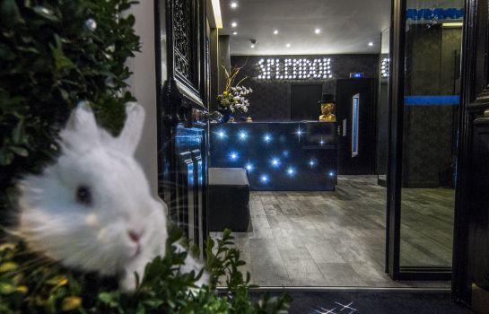 Hotel Splendor Elysees