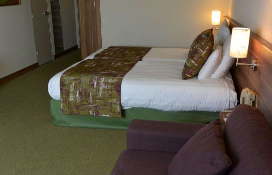 Golden Tulip Mulhouse Basel