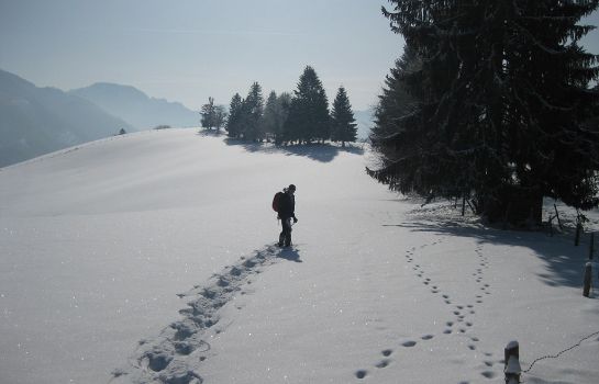 Landgasthof Kirchenwirt