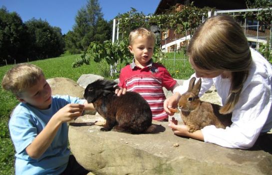 Bauernhof BIO-Ferienbauernhof Greber