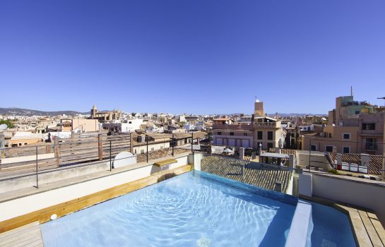 Petit Palace Tres