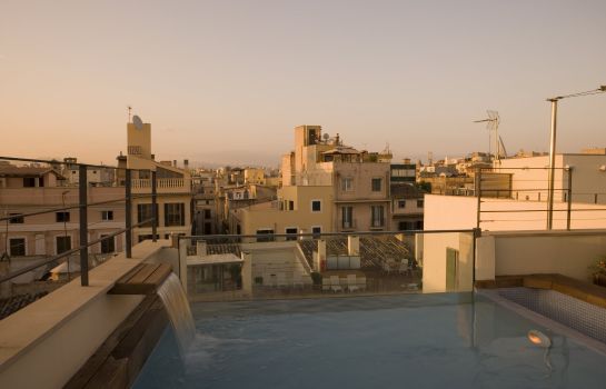 Petit Palace Tres