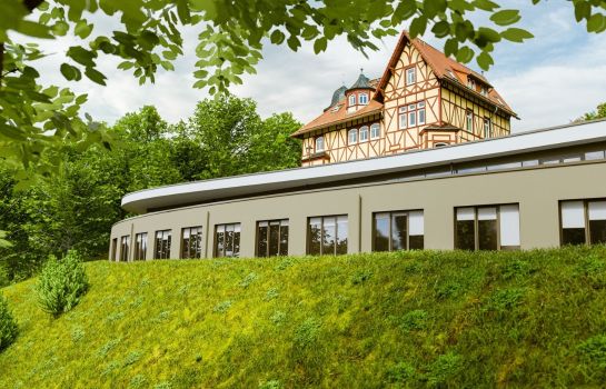 Partnersuche mansfeld südharz
