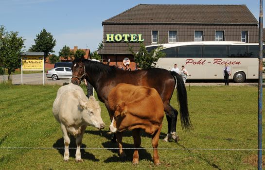 Zur Wolfsschlucht Das wolfshotel®