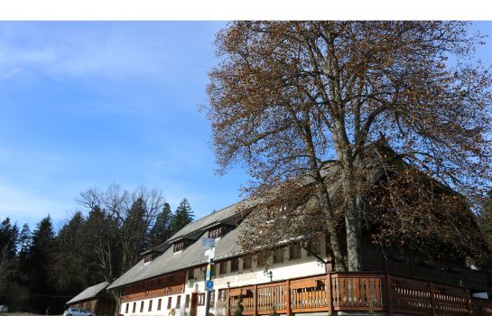Gasthaus Staude Gasthaus Staude