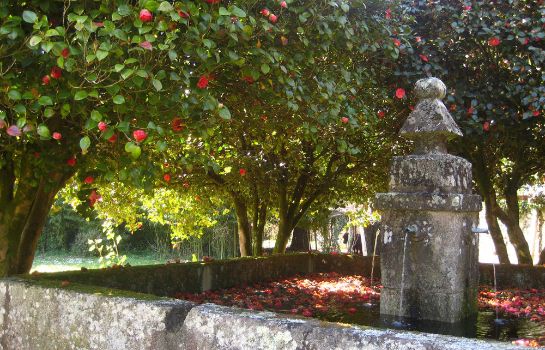Pazo Cibrán