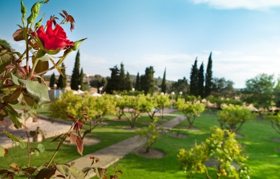 Finca Son Roig Agroturismo