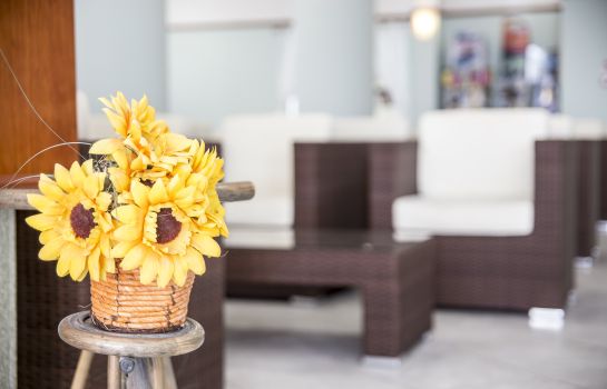 Ciccio Hotel