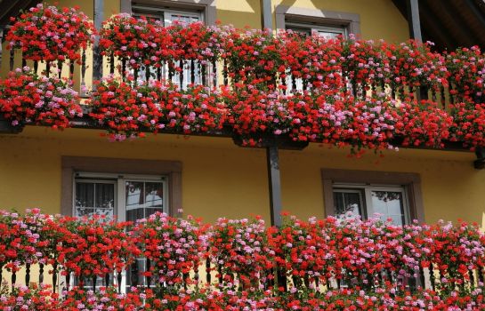 BestWestern Hôtel Au Cheval Blanc Mulhouse Nord