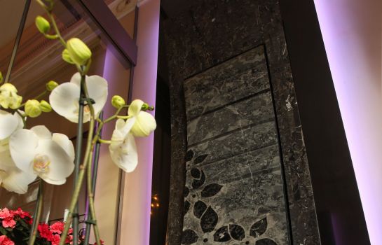 Hôtel La Villa Des Fleurs