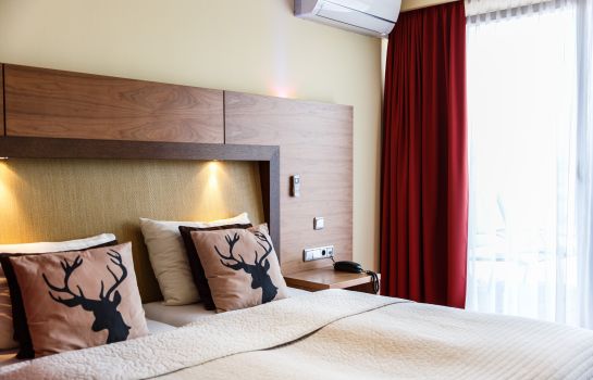 Salzburg Hotel