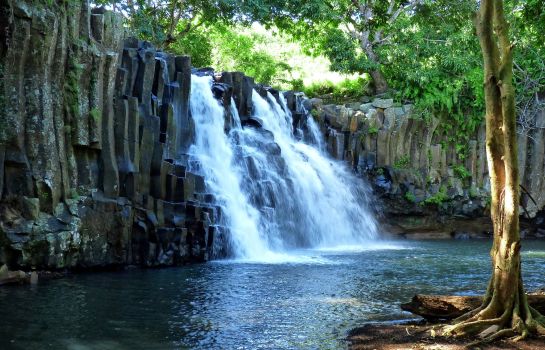 Mauritius The Westin Turtle Bay Resort & Spa Miscellaneous