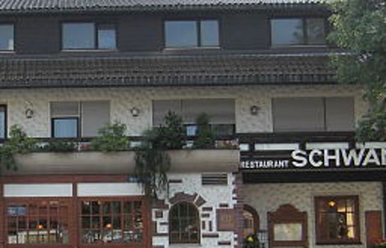 Schwanen Schwanen