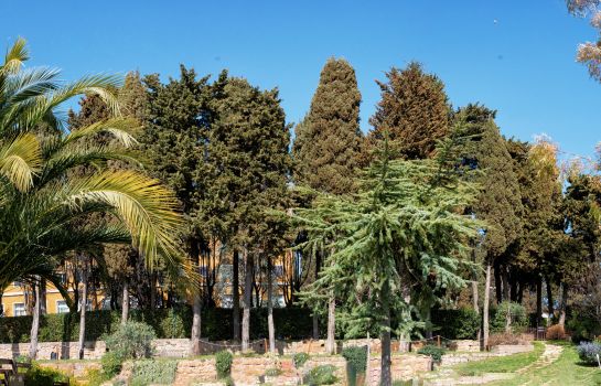 Excel Roma Montemario