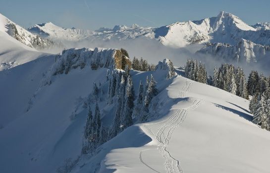 Hotel Gasthof Hirschen