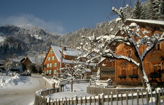 Hotel Gasthof Schäfle