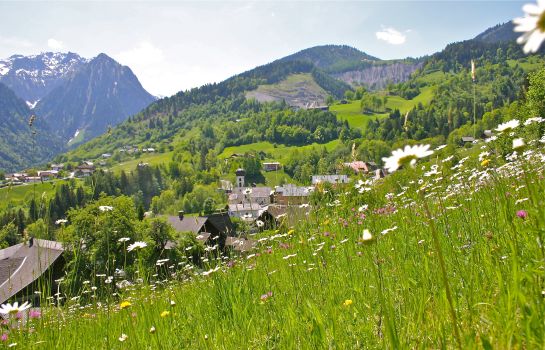 Hotel Gasthof Schäfle