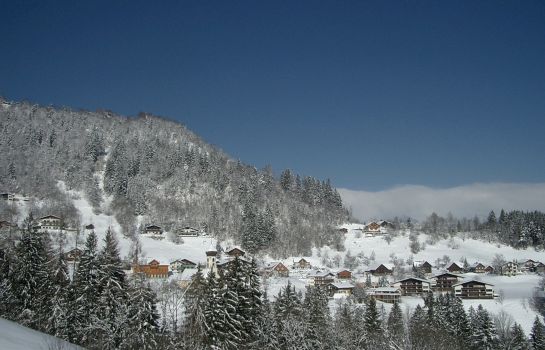 Hotel Gasthof Schäfle