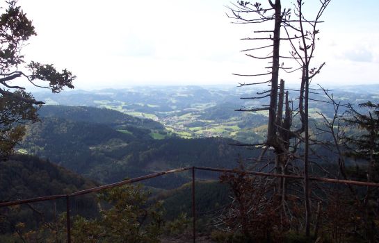 Gasthof Pension Angerhof