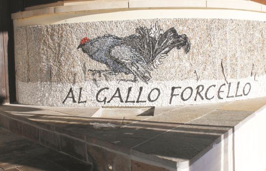 Al Gallo Forcello 1530 ***  Superior