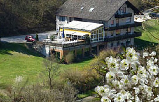 Haus Hubertus Hotel-Pension