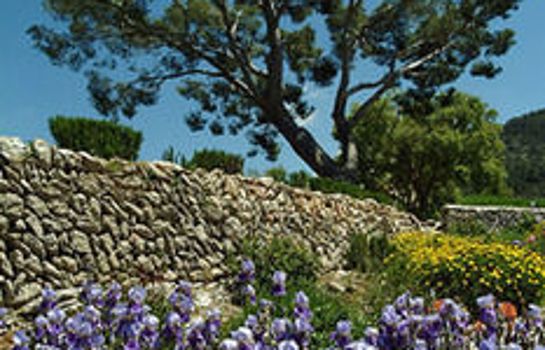 Finca Son Palou