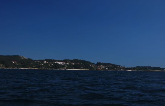 Bosque Mar