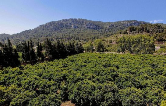 Son Galcerán - Finca Agroturismo