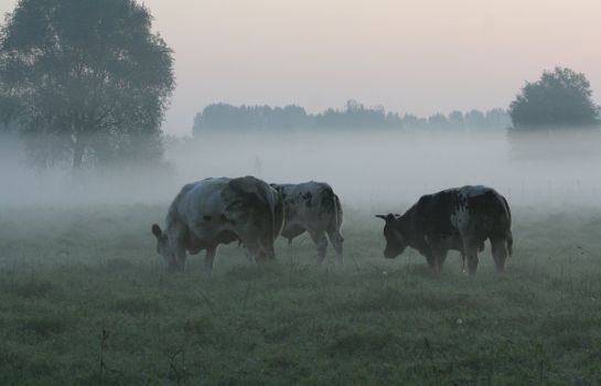 De Ruwenberg Conferentiehotel 's-Hertogenbosch