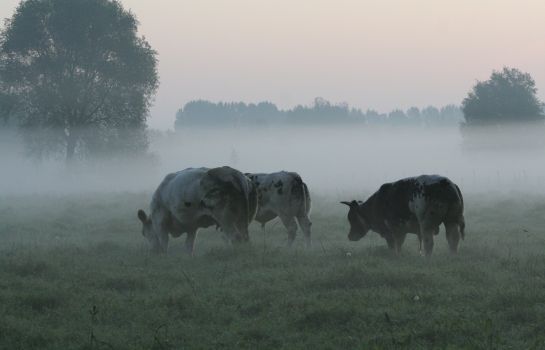 De Ruwenberg Conferentiehotel 's-Hertogenbosch