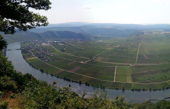 Moselsteig