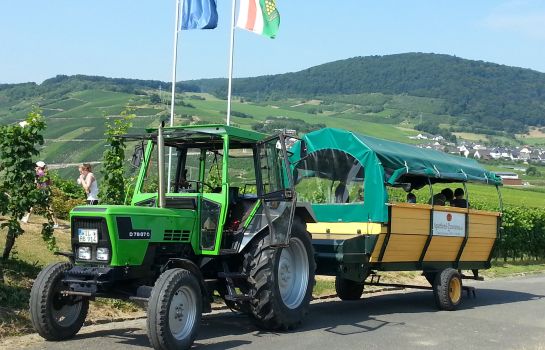 Moselsteig